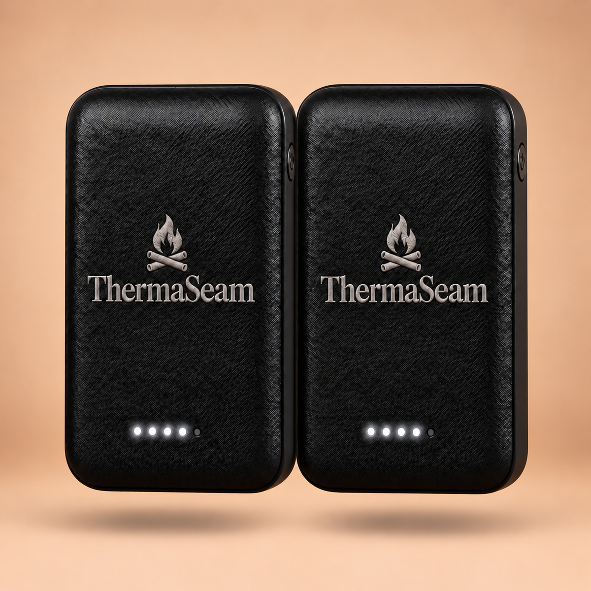 Two 5000mAh Power Banks